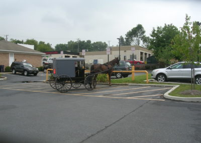 Amsh buggy at Weis Market in Lititz, Lancaster County, PA